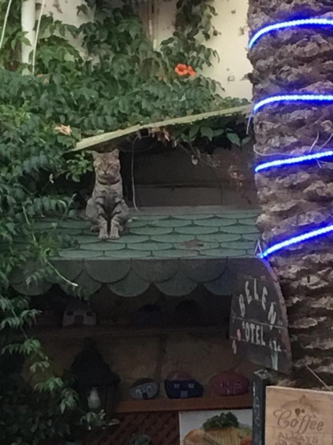 Belen Hotel シダ エクステリア 写真
